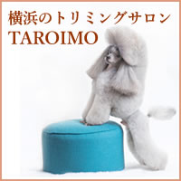 横浜のトリミングサロンTAROIMO